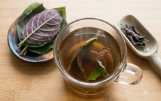 Cách dùng lá mơ lông cho người bị trào ngược dạ dày