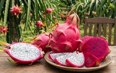 Thanh long giúp cải thiện táo bón khi thời tiết khô hanh