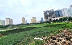 Đề xuất đánh thuế đất bỏ hoang gấp 7 lần đất ở trong hạn mức