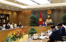 Phó Thủ tướng đánh giá cao đề xuất tàu bệnh viện tại Phú Quốc