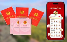Sai tên người sử dụng đất, người dân Hà Nội có thể đính chính sổ đỏ online