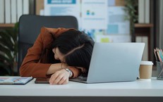 Ở nhà khỏe mạnh, đi làm mệt mỏi, xuống sắc vì không khí văn phòng ô nhiễm