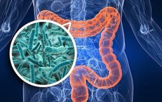 Tuổi 50 muốn khỏe, hãy duy trì 4 thói quen tốt cho hệ vi sinh đường ruột