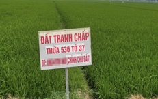 Đất tranh chấp: Những điểm người dân dễ nhầm lẫn