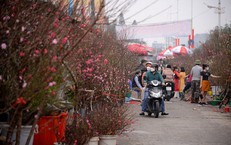 Chuyên gia nói về diễn biến thời tiết trong tháng 2, Tết Nguyên đán có thể sẽ ấm