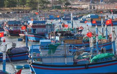 Thay 'áo mới' cho tàu cá đón Tết, gửi trọn kỳ vọng mùa biển mới