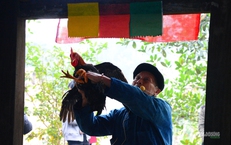 Người Mông đón Tết ở Thủ đô