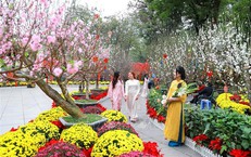 Top những không gian và điểm đến du Xuân tại Hà Nội dịp Tết Bính Ngọ