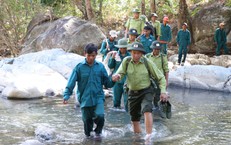 Giữ 'lá phổi xanh' bình yên trong những ngày Tết