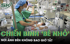 Nơi ánh đèn không bao giờ tắt và hành trình giành giật sự sống của những 'chiến binh' bé nhỏ