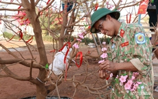 Bác sĩ Việt Nam tại Phái bộ Liên Hợp Quốc giữ trọn hương Xuân