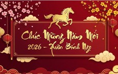 Những lời chúc Tết Bính Ngọ 2026 hay và ý nghĩa nhất