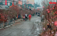 Đợt không khí lạnh đúng Tết Nguyên đán kéo dài đến khi nào?