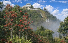 Say đắm sắc hoa mùa xuân giữa đại ngàn Bạch Mã