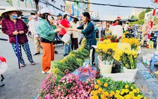 Miền Bắc và miền Trung sẽ hửng nắng từ chiều mùng 4 Tết