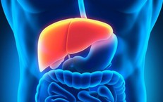 Cảnh giác với suy gan cấp