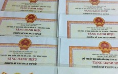 Đề xuất bổ sung tiêu chuẩn 'có đề án khoa học' khi xét tặng Chiến sĩ thi đua