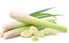 Củ sả chữa bệnh gì?