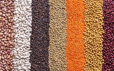 3 loại hạt giàu magie giúp người cao tuổi ngủ ngon