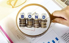 Thiên Phúc Invest huy động thành công 79,5 tỷ đồng từ kênh trái phiếu