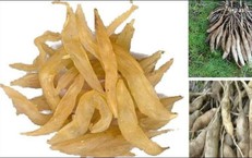 7 món cháo thuốc tốt cho người bệnh cúm