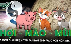 Hợi - Mão - Mùi: 3 con giáp phạm Tam Tai năm 2026 và cách hóa giải nên biết để phòng tránh xui xẻo