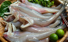 8 lợi ích sức khỏe bất ngờ của cá khoai