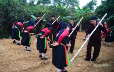 Gieo hạt mùa xuân giữa lòng Hà Nội