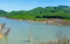 Người phụ nữ mang thai và con gái tử vong dưới hồ nước gần nhà