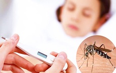 Dịch sốt xuất huyết gia tăng, ngành y tế Lâm Đồng siết chặt phòng, chống dịch