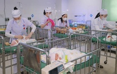 Lá chắn trắng giữa mùa Xuân