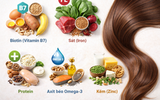 5 dưỡng chất thiết yếu giúp tóc mọc nhanh, chắc khỏe từ gốc đến ngọn