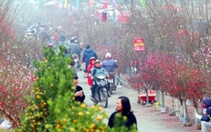 Miền Bắc đón 3 đợt không khí lạnh trước và sau Tết Nguyên đán