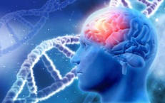 Siêu âm mở hướng điều trị mới cho các bệnh nhân trầm cảm