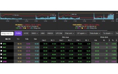 Chứng khoán ngày 12/3 giảm gần 19 điểm do bị chốt lời