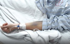 Hiểm họa sốt xuất huyết Dengue: Khi gánh nặng vượt qua những con số