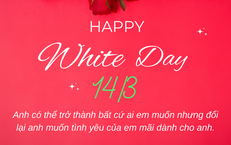 Lời chúc ngày Valentine 14/3 - Valentine trắng tặng người yêu ngọt ngào