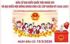 Đảm bảo khám chữa bệnh, cấp cứu và phòng chống dịch bệnh duy trì thông suốt trong thời gian bầu cử