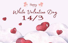 Những lời chúc ngày Valentine 14/3 hay nhất 2026