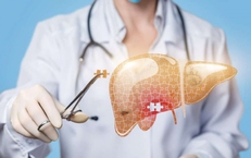 Yếu tố nguy cơ làm tăng tỷ lệ mắc ung thư gan