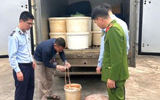 Hãi hùng phát hiện hơn 1 tấn lòng lợn có dấu hiệu phân hủy, bốc mùi hôi thối trong xe tải