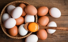 17 bài thuốc dân gian từ trứng gà trị bệnh thường gặp