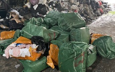 Phát hiện xe ô tô chở hơn 1,3 tấn nầm lợn không rõ nguồn gốc