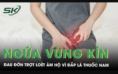 Ngứa vùng kín nhiều năm, người phụ nữ suýt 'hủy hoại' âm hộ vì đắp lá thuốc nam