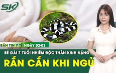 Bản tin Y tế 2/3: Bé gái 7 tuổi nhiễm độc thần kinh nặng do bị rắn cắn khi đang ngủ dưới nền nhà