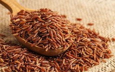 Dược thiện cho người yếu sinh lý