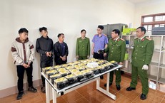 Triệt phá đường dây vận chuyển hơn 34kg ma túy, thu giữ súng cùng 11 viên đạn