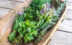 5 loại rau gia vị tốt nhất giúp giảm viêm và tăng cường sức khỏe tim mạch