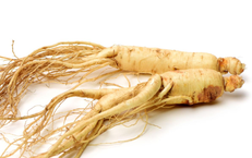 Thời điểm tốt nhất dùng nhân sâm tăng năng lượng và cải thiện trí não