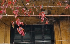 Miền Bắc mưa rải rác buổi sáng, hửng nắng vào trưa chiều